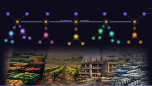 What do we mean by "information backbone"?