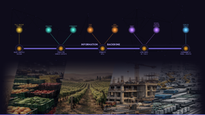 Build or buy your information backbone?